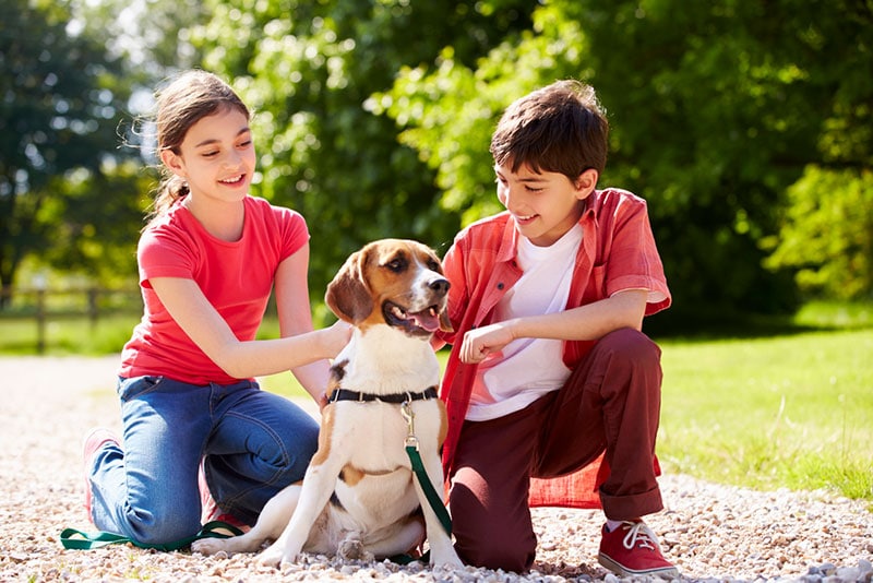 4 Ways To Prevent Dog Bites dog-kids